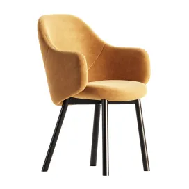 ALBU Easy chair with armrests By TON